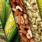 5 Foods to Keep You Warm This Winter