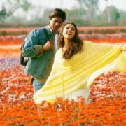 How beautiful are My Gulmohar Mornings !!