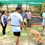 Pooch Pool Party by TopDog Luxury Pet Resorts, Gurugram